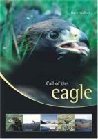 Call of the Eagle артикул 4377d.